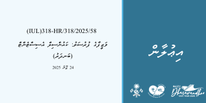 SEO Posts Habour Officer