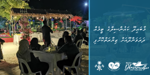 SEO Posts Maabaidhoo