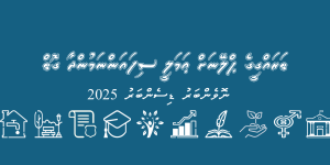 DP Implementation Nov Dec 2025